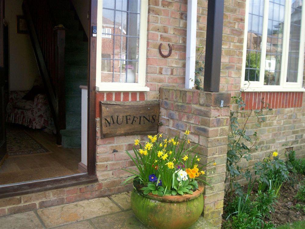 Muffins Bed & Breakfast Hastings Exterior foto